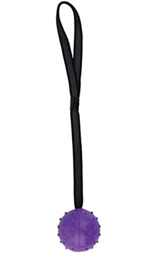 emily pets Dog Fetch Rubber Ball Rope Toy, EVA Rubber Spike Ball on a Rope Dog Toy can Floats in Water, for Interactive Pet Chewing Training Working Dog Rope Ball Toy, Tugging Ball Toys(S,Voilet)