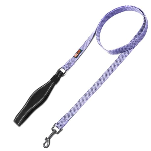 Emily Pets Nylon Dog Leash Durable Training Lead, Strong Padded Handle for Walking Running of Small Medium, Large Dogs (Sky Blue, Medium)