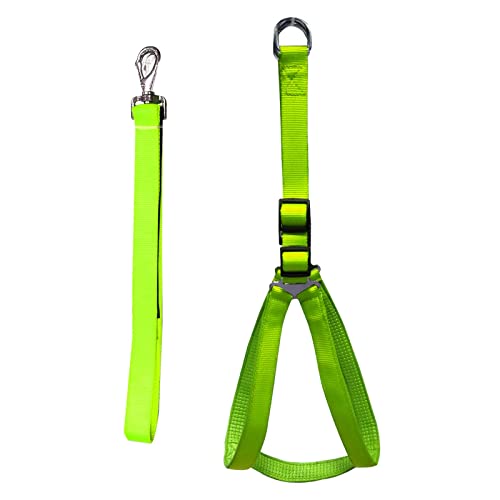 Emily Pets Dog Haness and Leash Set,Adjustable Nylon with Black Padding Dog Training Dog Harness for Large Dogs no Pull, with Heavy Duty Dog Leash Large Medium Small Dogs(Parrot Green 25MM)