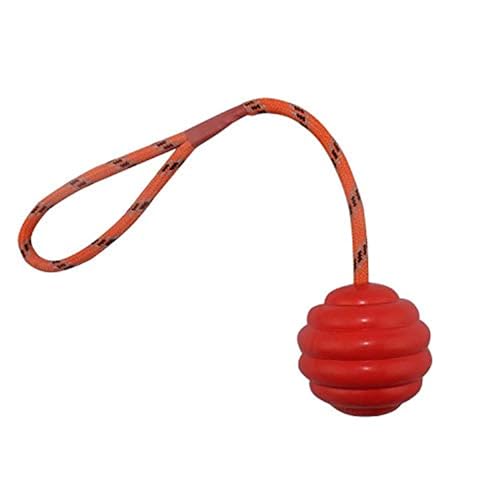 emily pets Natural Rubber Dog Toy Ball On Rope for Pet Training, Playing, Chewing Solid Tooth Cleaning Toys for Small Medium and Large Dogs(Red)