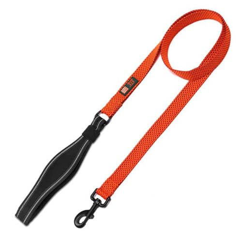 Cature Care by Nature Nylon Dog Leash Durable Training Lead, Strong Padded Handle for Walking Running of All Breed Dogs (Orange, Small)
