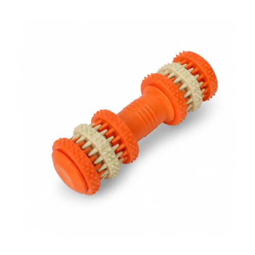 emily pets Dog Chew Bone Toy, Durable Rubber Teeth Cleaning Chew Toy for Small Dogs, Interactive Puppy Training Toy, Dental Care, Color May Vary