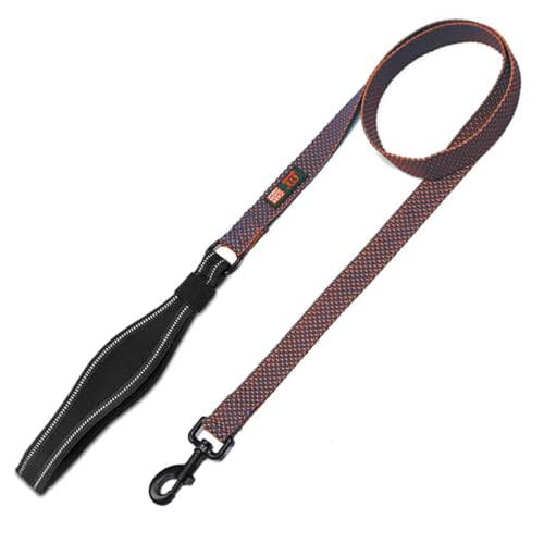 Cature Care by Nature Nylon Dog Leash Durable Training Lead, Strong Padded Handle for Walking Running of All Breed Dogs (Purple, Large)