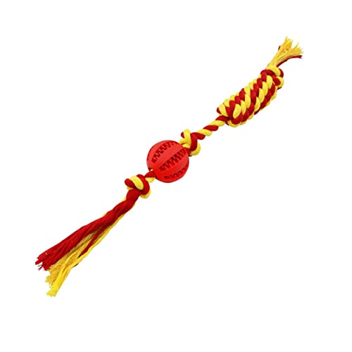 emily pets Aggressive Chews Knot Tug of war/Tennis Ball,Premium Cotton-Poly Tug Toy for Dogs,Teeth Cleaning Ball,Interactive Toy,Interactive Dog Tug Toy,Rope Dog Toy with Tennis Ball(Red)