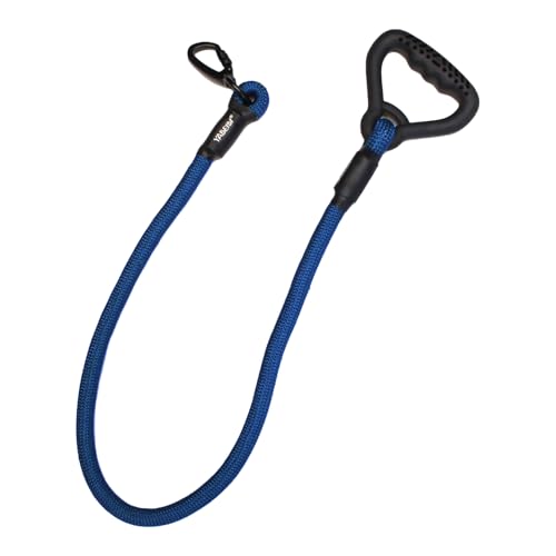 Emily Pets Nylon Dog Rope Leash with Strong Hook | Training and Walking Dog Leash Chew Proof with Hook, for Medium & Large Dog 3. feet (Blue)