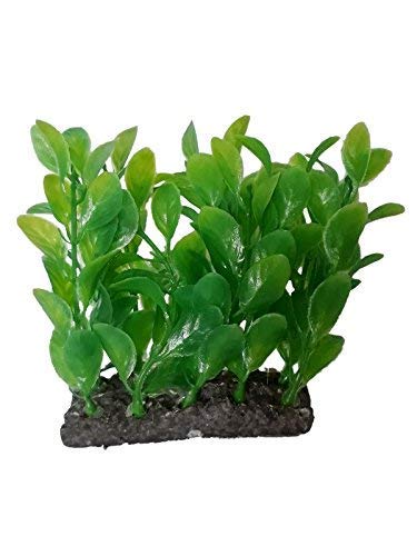emily pets Artificial Green Grass Water Plant for Fish Tank Aquarium Decor Ornament Decoration (Pack of 1)
