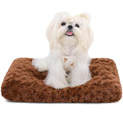 emily pets Washable Dog Bed Deluxe Plush Dog Crate Beds Fulffy Comfy Kennel Pad Anti-Slip Pet Sleeping Mat for Small, Medium Dogs Breeds, 21" x 13", (Brown, XS)