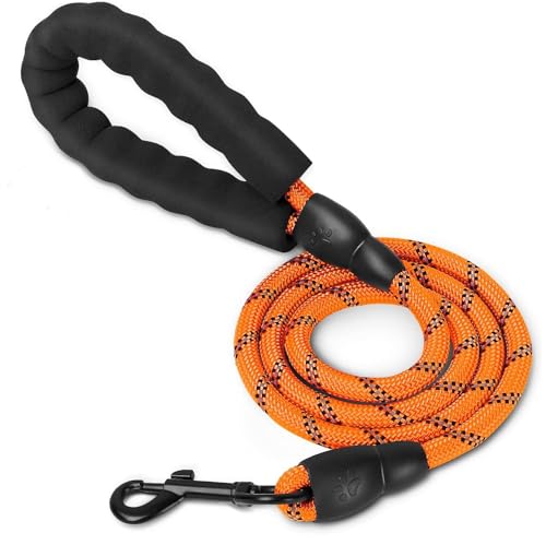 Emily Pets Dog Leash Heavy Duty, 5FT Dog Leashes for Small Puppy Medium Large Breed Dogs with Comfortable Handle, Reflective Rope Pet Leash for Night Safety Walking (Orange)