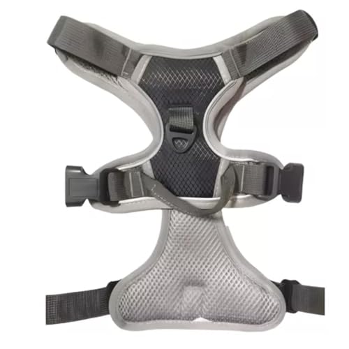 Emily Pets Dog Harness, No-Pull Pet Harness with 2 Leash Clips, Adjustable Soft Padded Dog Vest, Easy Control Handle for Medium Dogs (Black, M)