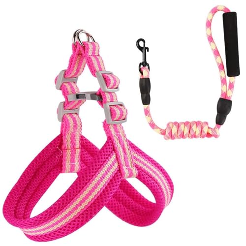 Emily Pets Dog Harness Set Soft and Adjustable Vest Pet Leash Set Explosion-Proof Dog Leash Chest Harness Suitable for Outdoor (Pank, Small)