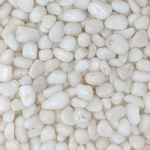 Cature Care by Nature White Polished Gravel Stones for Fish Tank Fillers, Assorted Crushed Stone Pieces for Vases Fillers Plants Home Decor Pebble Stones (1.95kg)(1.5-2.0Cm)
