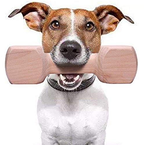 emily pets Wood Retrieving Dumbbells Wooden Teether Dumbbell Shaped Dog Training Toy for Small to Medium Breeds W5.5,L13.3,H5CM(Small,160gm)