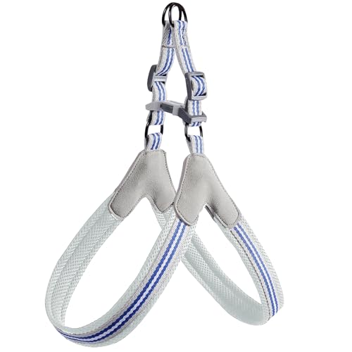 Cature Care by Nature No Pull Dog Harness,No Choke and Step-in,Adjustable Belts Breathable Soft Mesh,Escape Proof No Rub Dog Harnesses for Small Medium Large Dogs (Blue, L)