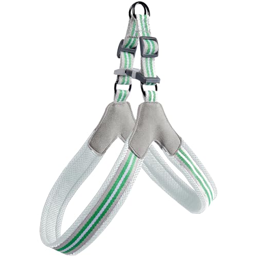 cature Care by Nature No Pull Dog Harness,No Choke And Step-In,Adjustable Belts Breathable Soft Mesh,Escape Proof No Rub Dog Harnesses For Small Medium Large Dogs(Green,L)