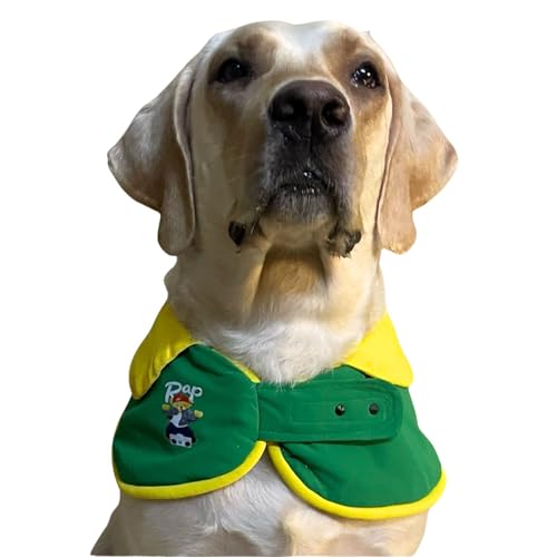 Lulala Pet Dog Cape Collar – Stylish Green & Yellow Neckwear with Rap Bear Print | Soft Hosiery Fabric, Velcro Closure | Comfortable & Cute Accessory for Medium & Large Dogs (Large)
