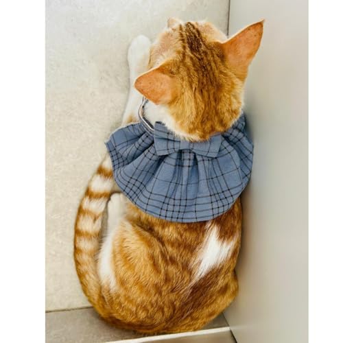 Lulala Stylish Blue Plaid Cat Bow Tie Collar – Adjustable Comfortable Pet Accessory for Cats and Kittens – Trendy and Soft Plaid Design for Fashionable Pet Clothing (Small)