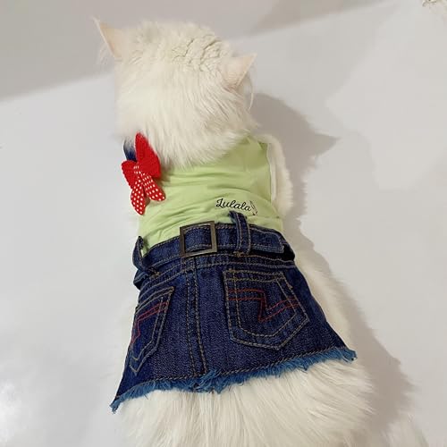 Lulala Pet Dress One Shoulder Autumn Pet Denim Jeans with Pocket-Pet Outfits Pet Pretty Off Shoulder Dress for Pets-Comfortable and Casual Pet Clothes(12 Inch,Sea Green)