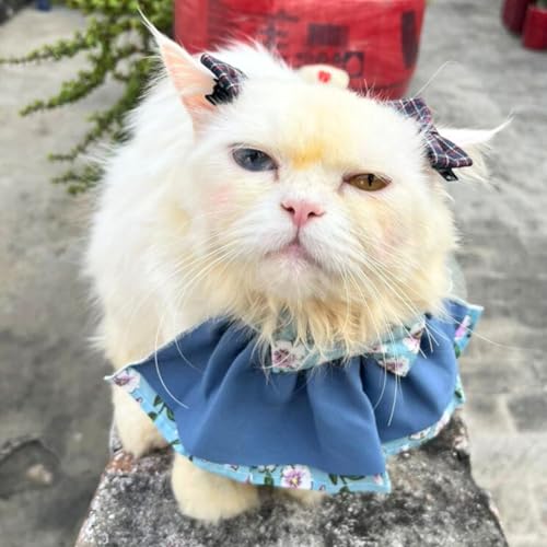 Lulala Floral Cat Collar with Bow – Adjustable Soft Fabric Pet Accessory for Cats & Kittens | Cute, Comfortable Outfit for Everyday Wear, Photoshoots & Special Occasions (Small)