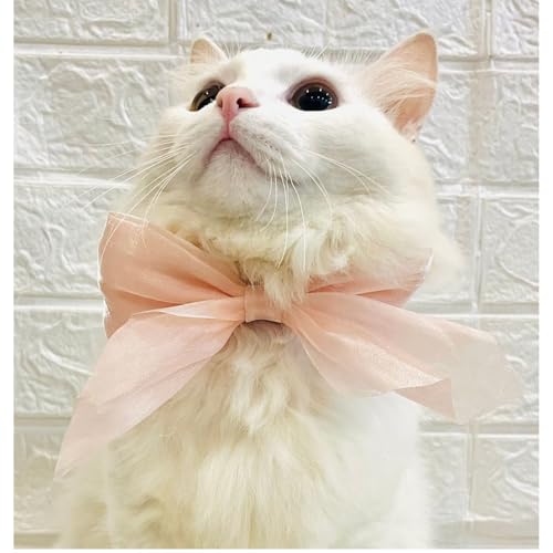 Lulala Adjustable Bow Tie Collar for Cats - Soft and Stylish Pet Neck Accessories for Kittens and Adult Cats