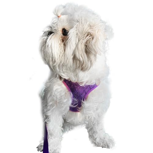 Lulala Puppy Vest Harness and Leash Set Comfort Fit, No Pull, No Choke, Vest Harness with Leash for Puppy and Small Pets (Purple-XL)