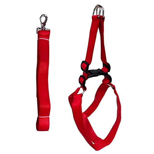 Emily Pets Dog Haness and Leash Set,Adjustable Nylon with Red Padding Dog Training Dog Harness for Large Dogs no Pull, with Heavy Duty Dog Leash, Pet Set for Large Medium Small Dogs(Red 32MM)
