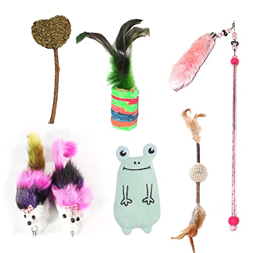 emily pets Cat Kitten Chew Toys, Interactive Cat Toys for Indoor Cats and Kittens (Pack of 6, Color May Vary)