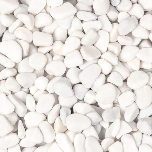Cature Care by Nature White Polished Gravel Stones for Fish Tank Fillers, Assorted Crushed Stone Pieces for Vases Fillers Plants Home Decor Pebble Stones (4.9kg)(2.0-3.0Cm)