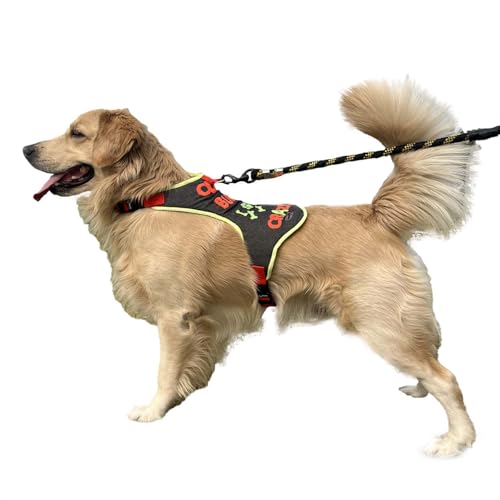Lulala No-Pull Dog Harness-Adjustable- Padded Breathable Pet Vest with Crazy Pattern for Dogs (Small)