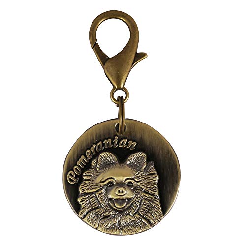 emily pets Antique Look Bronze Identity Collar Memorial Tag Cum Pendant for Dog (Pomeranian)