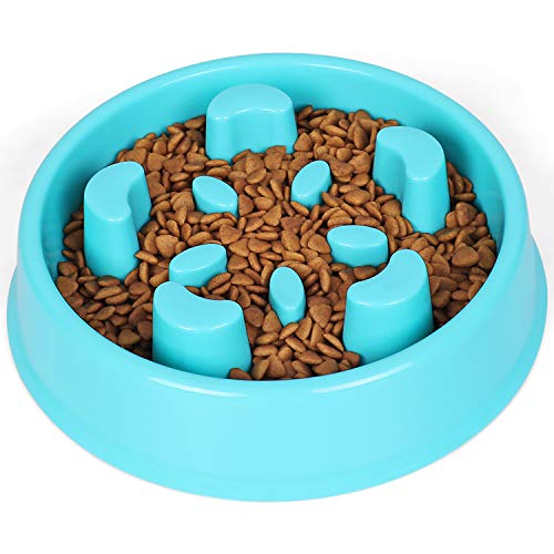 JASGOOD polypropylene Slow Feeder Dog Bowl-Stop Bloat Dog Bowl For Fast Easters,Slow Eating Dog Bowl