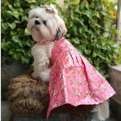 Lulala Customized Pet Apparel | Personalized Size and Colour Pet Dress, Sequin Embellished, Formal Occasion Outfit