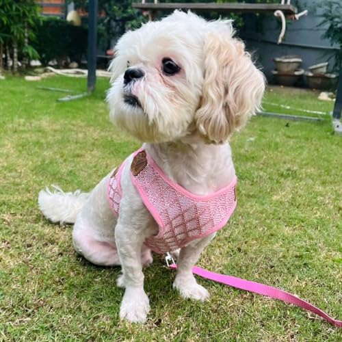 Lulala Puppy Vest Harness and Leash Set Comfort Fit, No Pull, No Choke, Vest Harness with Leash for Puppy and Small Pets (Pink-L)