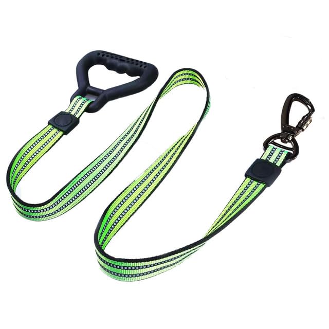 Emily Pets Dog Leash with Comfortable Padded Handle and Highly Reflective Rope Pet Leashes for Puppy, Small and Large Dogs Green