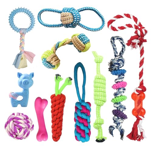 emily pets 11 Pack Dog Chew Toys for Puppy Cute Small Dog Toys Puppy Dog Toys for Teething Soft Durable Interactive Chew Toy for Small Dogs (Multi Color, Pack of 11)