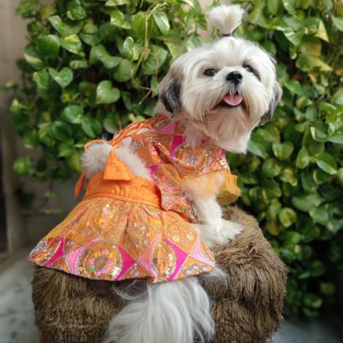 Lulala Traditional Ethnic Dog Dress with Dori – Festive Lehenga Choli Outfit for Female Dogs – Wedding, Party, Diwali Pet Costume (Orange- 26Inch)