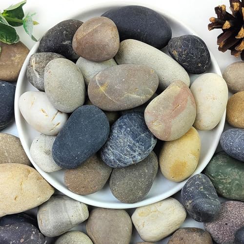 Cature Care by Nature Natural River Rocks for Aquariums Decorative Polished Mixed Pebbles,Decorative Stones,Plants Decortive,Crafting Landscape - Multipurpose Uses Stones(2-4 cm)(9.9KG)