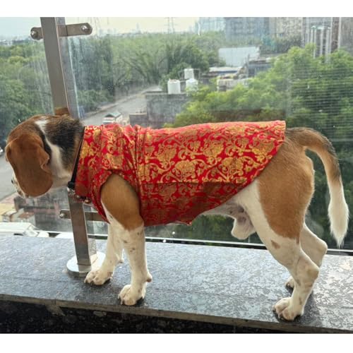Lulala Traditional Dog Sherwani for Wedding & Festivals, Ethnic Indian Outfit for Pets, Designer Pet Costume with Embroidery & Velcro Closure, Small to Large Dogs (Red 14 Inch)